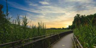 The Hartlan Gallery 53