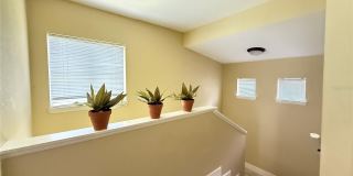 13212 ARBOR ISLE DRIVE Gallery 16