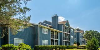 Avenues at Steele Creek Gallery 37