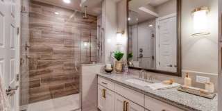 Cortland Biltmore Gallery 12