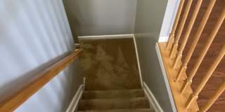 2810 Barrymore Street Gallery 12