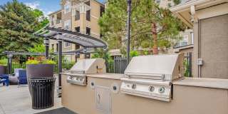 Greenwood Plaza Gallery 55