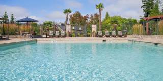 Vue Issaquah Gallery 9