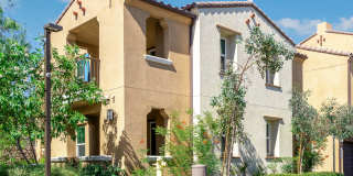 Rancho Monte Vista Luxury Apartment Homes Gallery 6