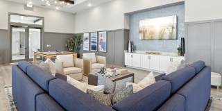 Avida Gallery 17