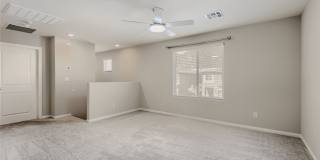 10790 Wild Parsley Avenue Gallery 19