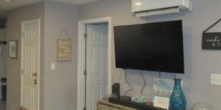 Charming 1BR apartment in Norfolk Gallery 3