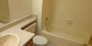 6631 Bobtail Drive Gallery 9