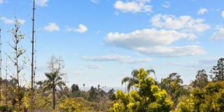 587 Entrada Dr Gallery 32