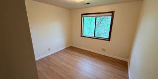 Brand New Flooring and Paint Upper Level Duplex Gallery 17