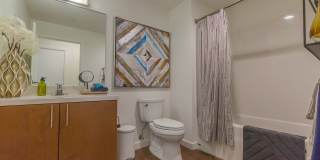 Linden Apartments Gallery 4