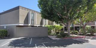 3054 Rue Dorleans Gallery 31