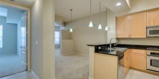 50 SERENE Avenue Gallery 9