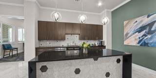 Brook Hollow Gallery 24