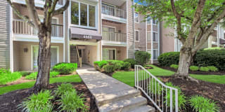 Columbia Glade Gallery 35