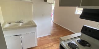 Royal Palms Gallery 5