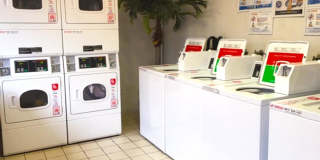 Ogden Villas Gallery 42