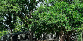 Mordecai On Clover Mordecai On Clover Gallery 1