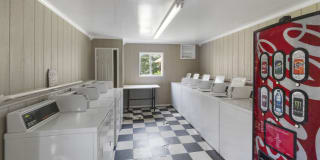 Maverick on Gilmer Gallery 13