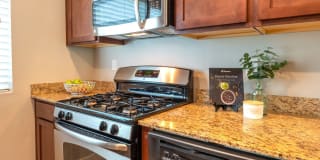 Olympus at The District Gallery 22