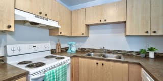 Parc Central Gallery 5