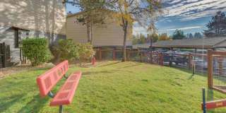 Homestead Apartments Gallery 12