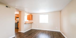 907 Coolee Lane Gallery 5