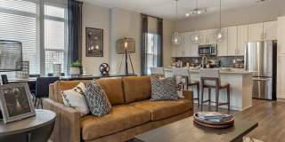 Bell Jones Franklin Gallery 4