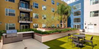 Aston at Gateway Gallery 20