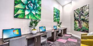 Summer Winds Gallery 3