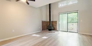 Rosen at North Hills Gallery 8