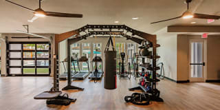 The Harrison Gallery 17