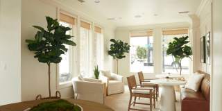 Sugar Flats Gallery 4