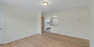 337 Madison Ave Gallery 8