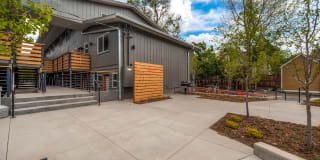2000 Walnut Gallery 15