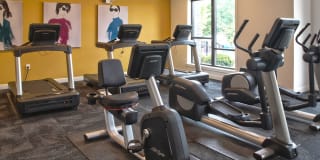 Allure Apartments Gallery 23