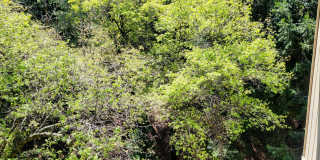 3 Bedroom 2 bath recently updated Gallery 35