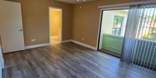 4158 PINELAKE Lane Gallery 9