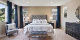 4944 Princess Gallery 20