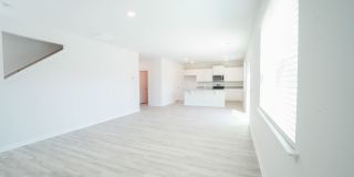 Available Soon! Gallery 6