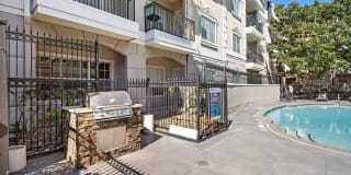 Rise at Elmside Gallery 15