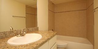 The Vintage Gallery 4