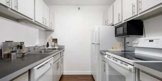 1133 North Dearborn Gallery 19