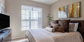 Mesquite Terraces Gallery 8