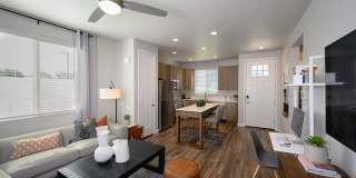 Village at Schnepf Farms Gallery 9