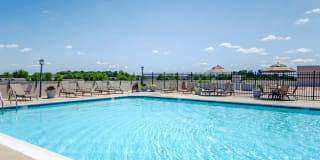 Vivant Woodholme Gallery 15