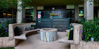 Agave 350 Gallery 42