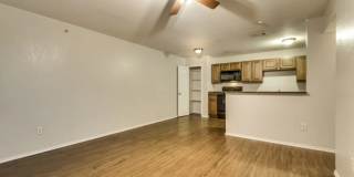Emerald Lane Gallery 8