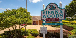 Vienna Woods Gallery 3