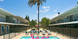 Aloha Apartments Gallery 13